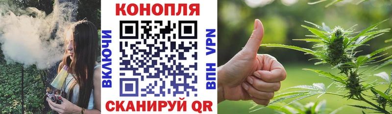 Купить где Петропавловск-Камчатский Канабис White Widow